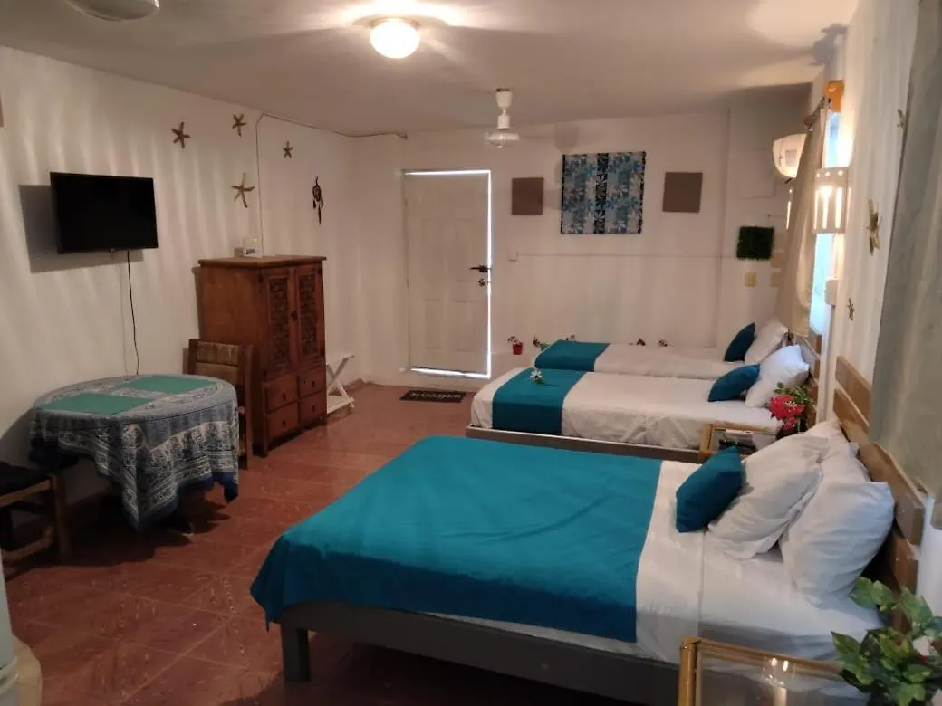 Casa San Miguel 1 Appartement Cozumel Mexico